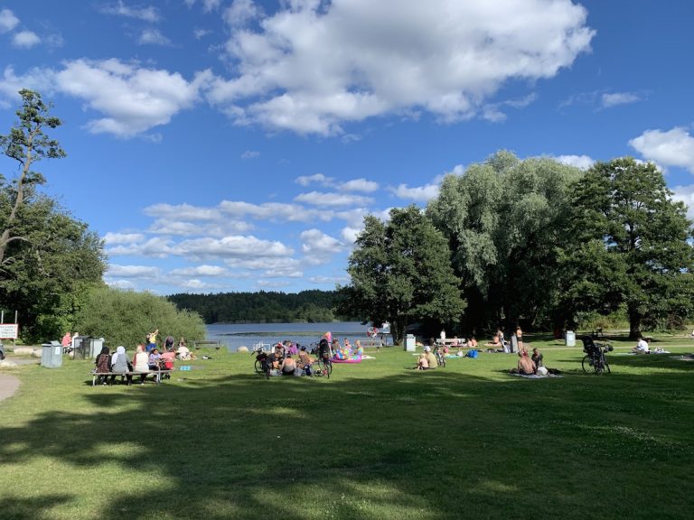 Vad hände med algblomningen i Kottlasjön?